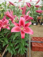 [5561 PO64 Campaign No01.JPG]